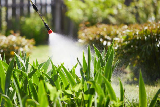 24/7 Emergency Ant Control experts in Monroe, LA