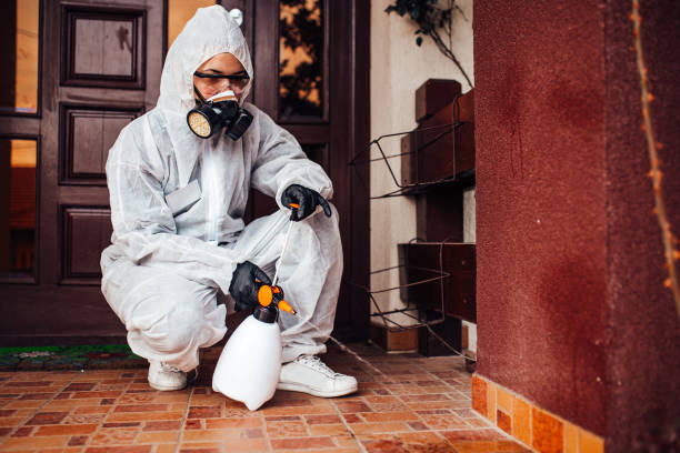 Reliable Ant Control contractor in Monroe, LA by Nex Pest Control